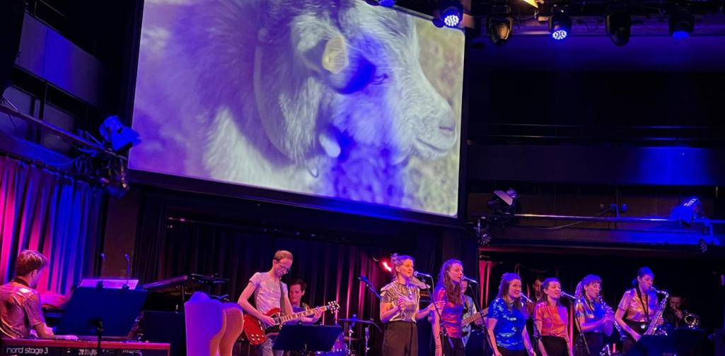 "Komm schon" "Komm schon"